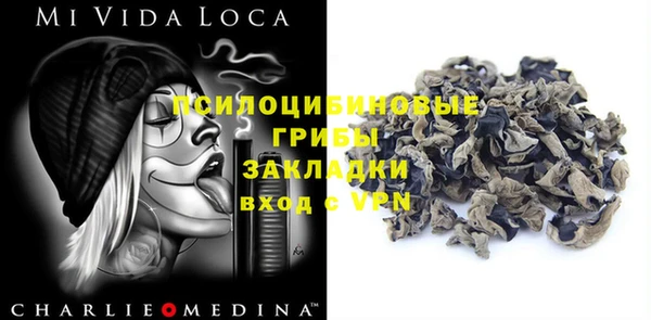 гашик Кодинск