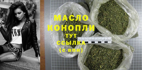 гашик Кодинск