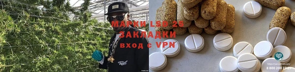 молекула духа Козельск
