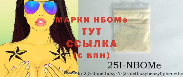 молекула духа Козельск