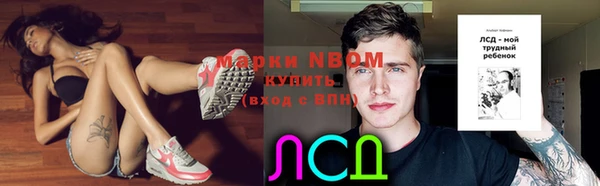 молекула духа Козельск