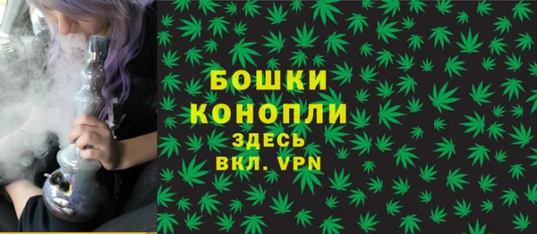 гашик Кодинск