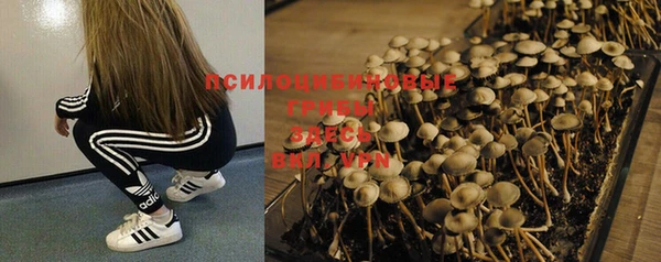экстази Козловка