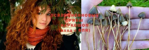 молекула духа Козельск