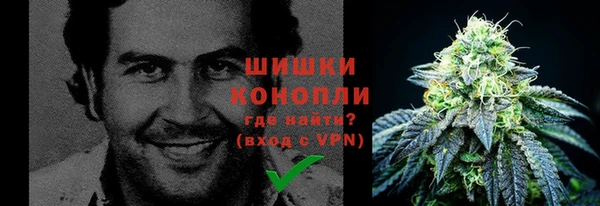 гашик Кодинск