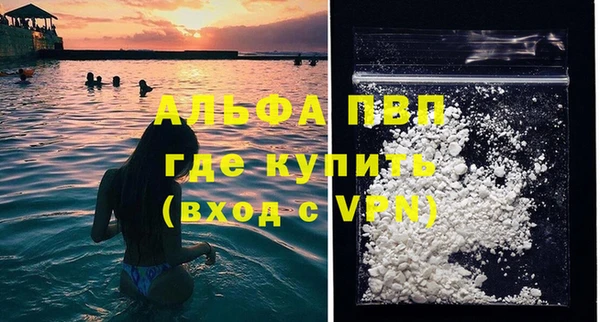 молекула духа Козельск