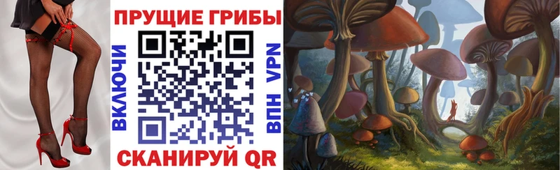 Псилоцибиновые грибы GOLDEN TEACHER  Купить  Кологрив 